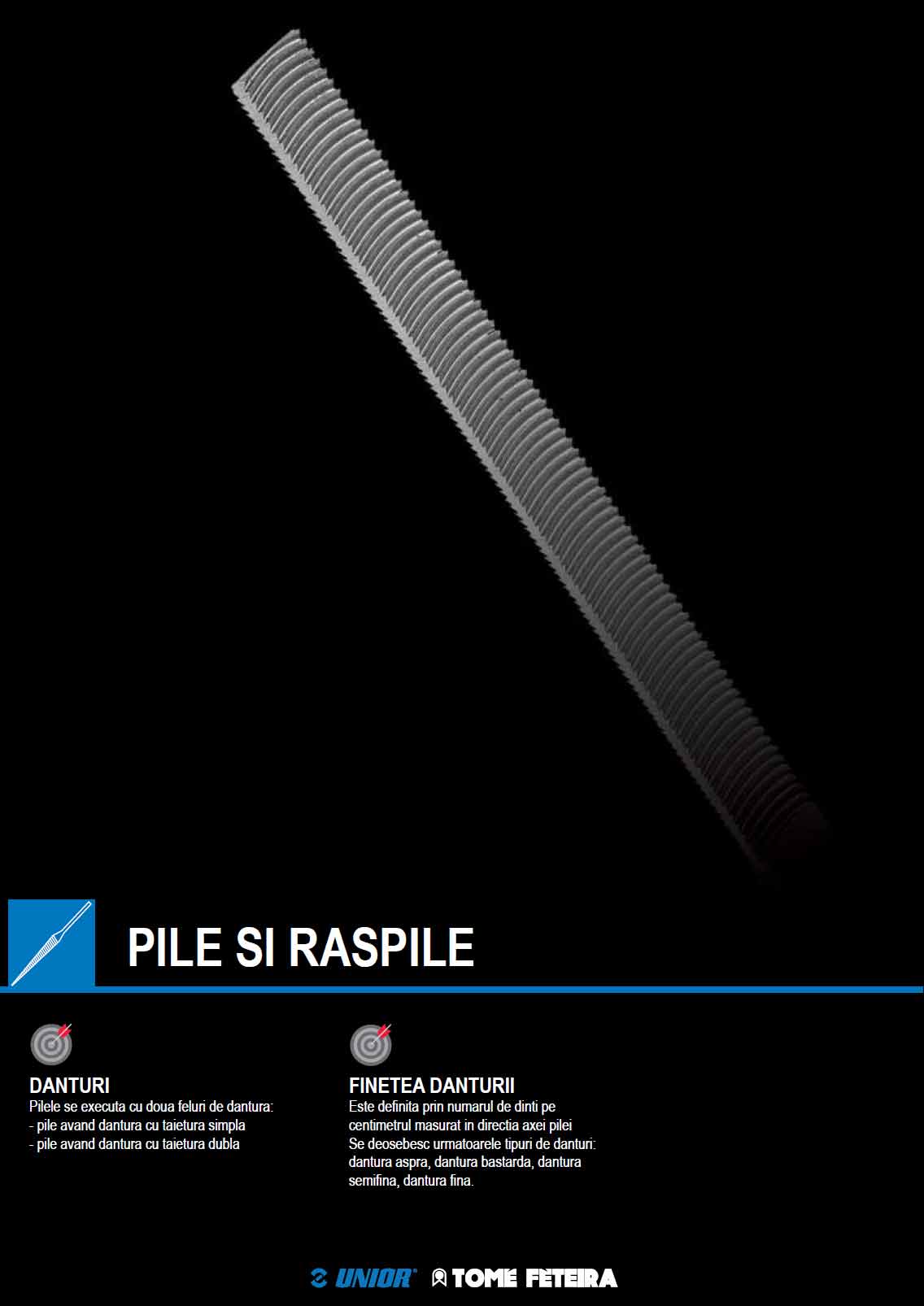 Catalog NOU- Pile si raspile